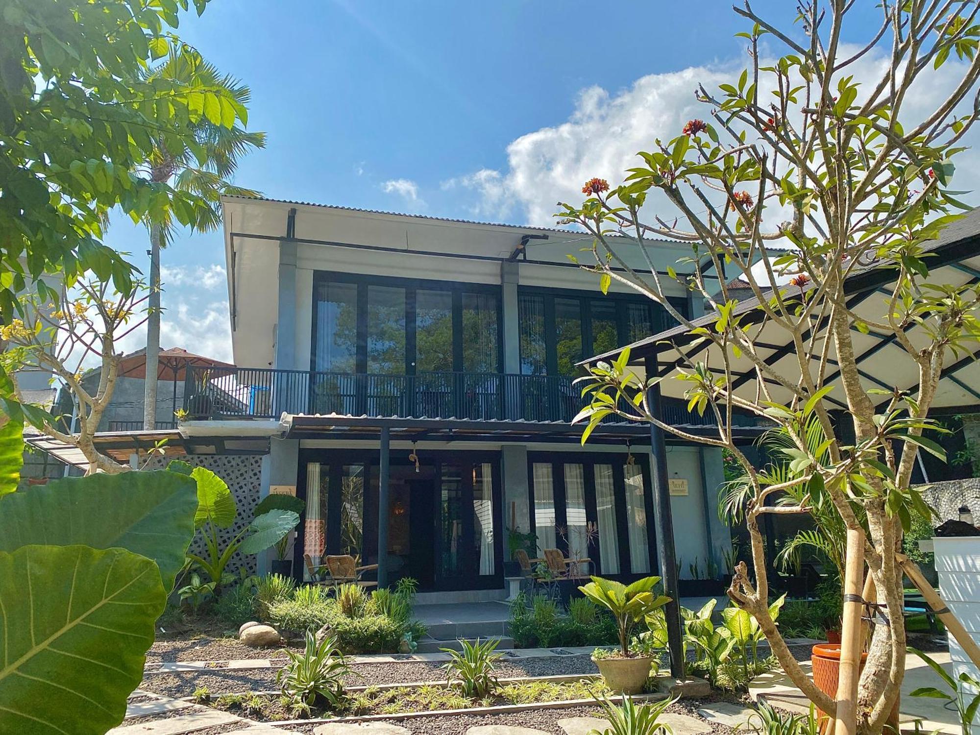 The Jungle Hostel