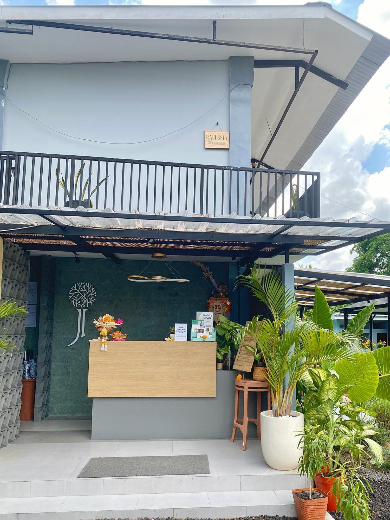 Hostel The Jungle *