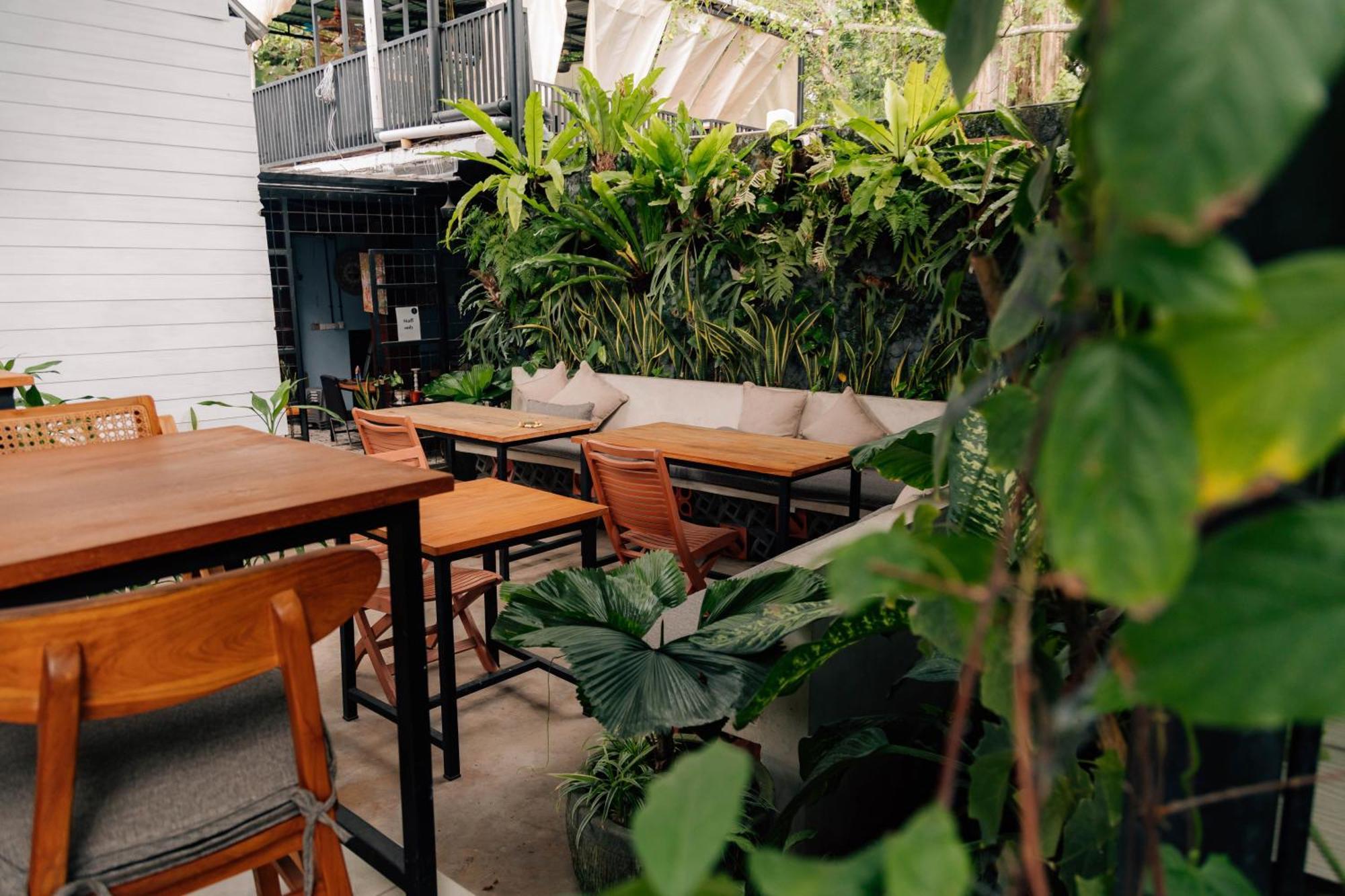 The Jungle Hostel *