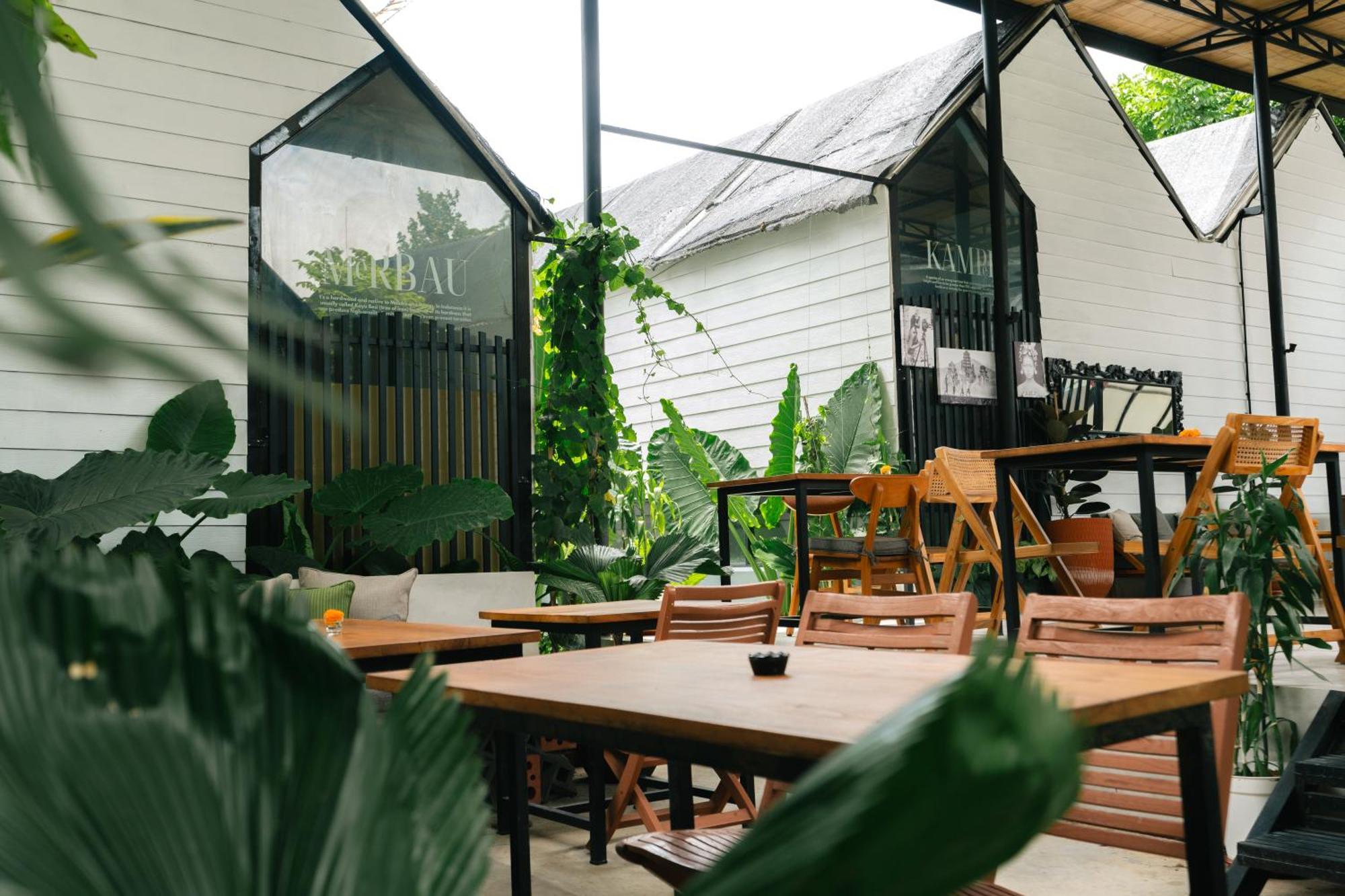 The Jungle Hostel
