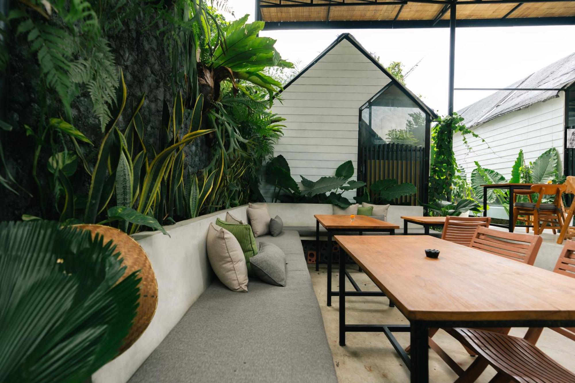 The Jungle Hostel *