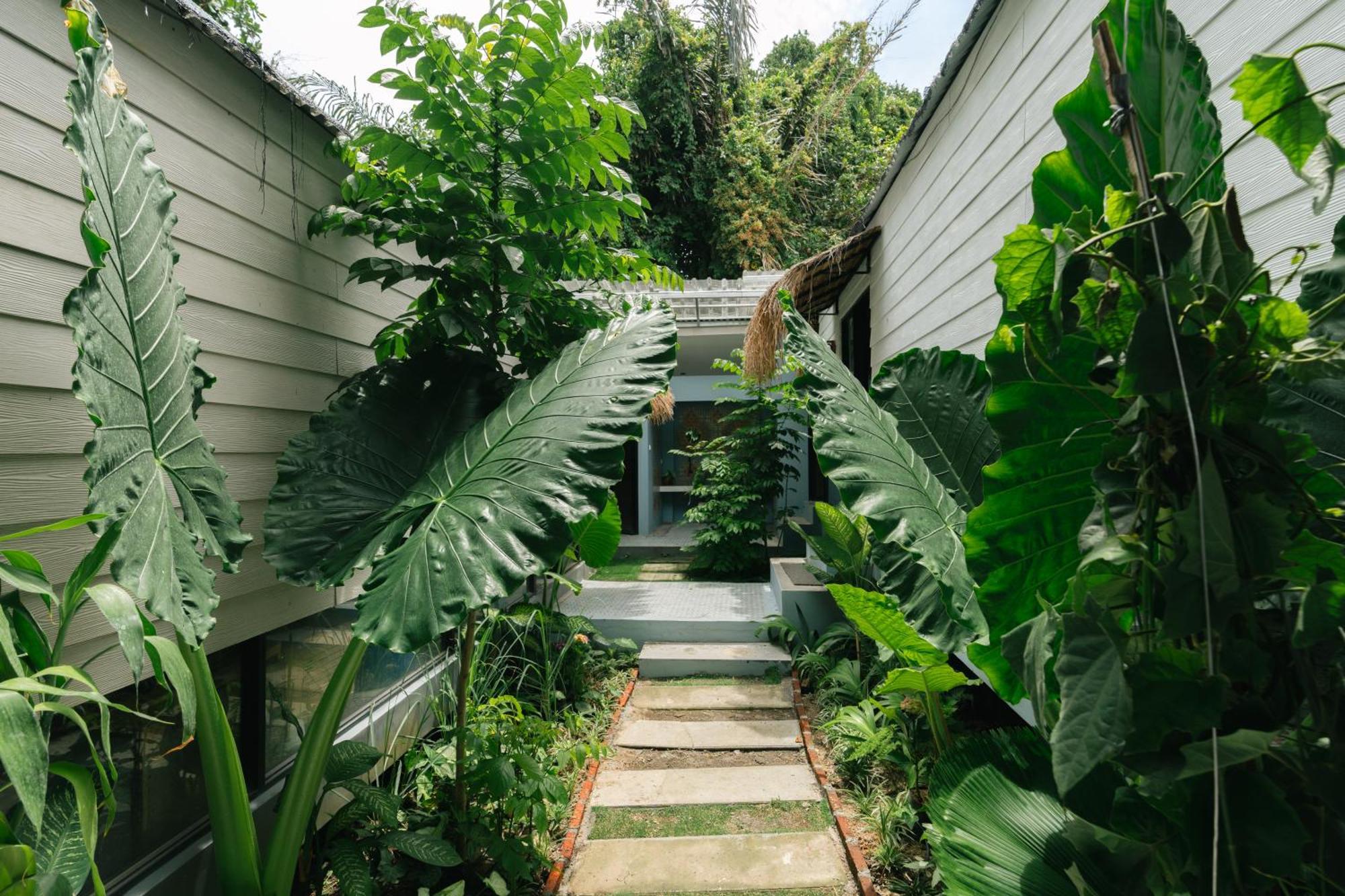 Hostel The Jungle