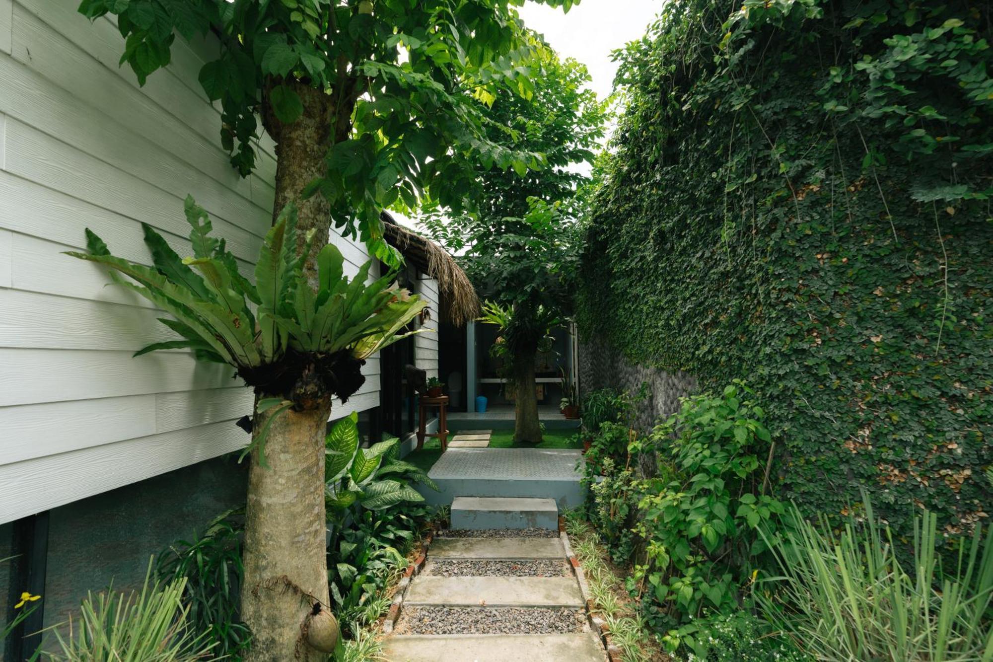 Hostel The Jungle Canggu