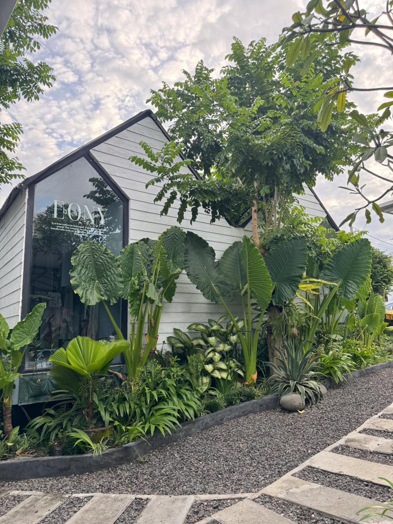 The Jungle Hostel