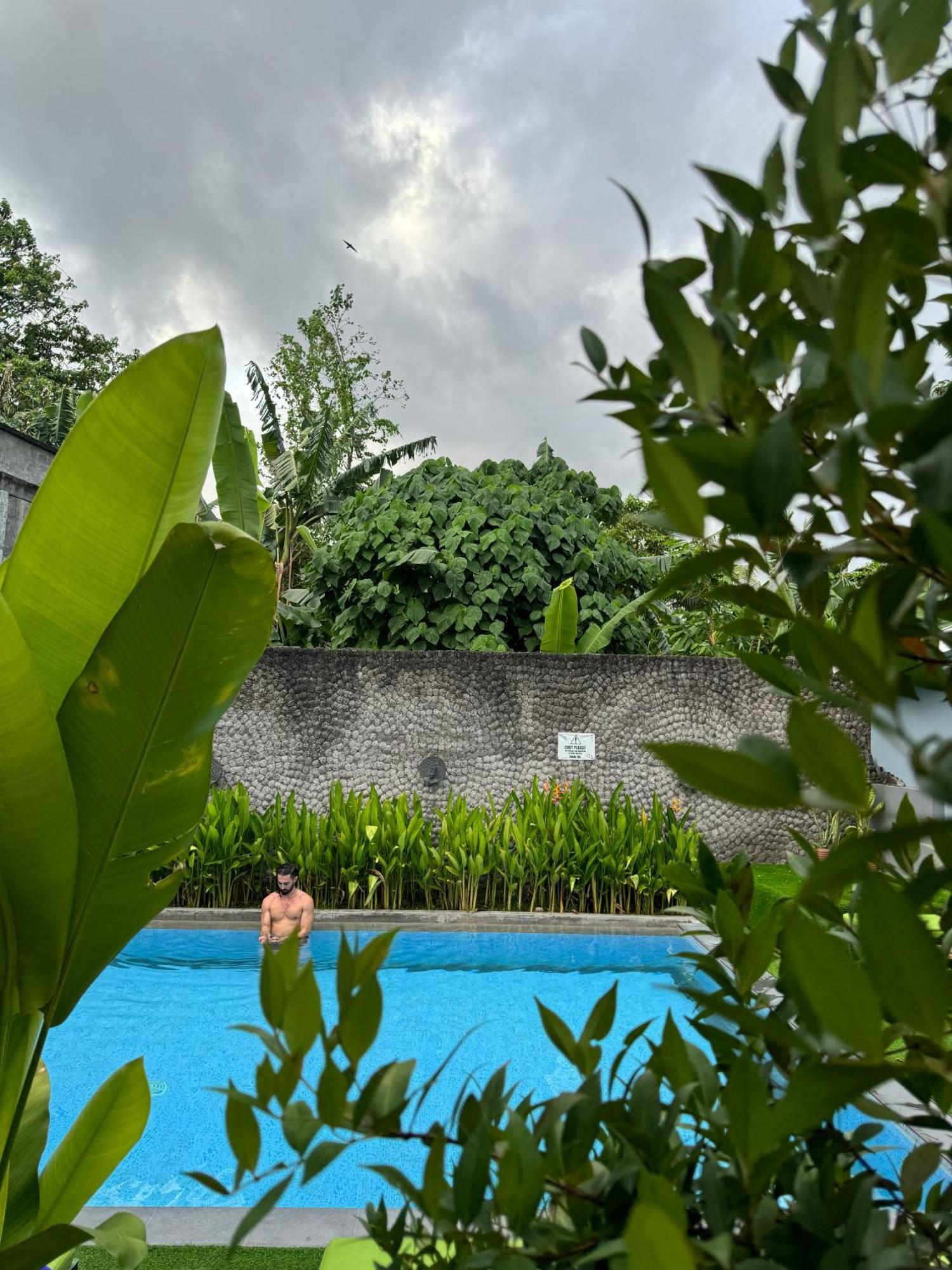 Hostel The Jungle
