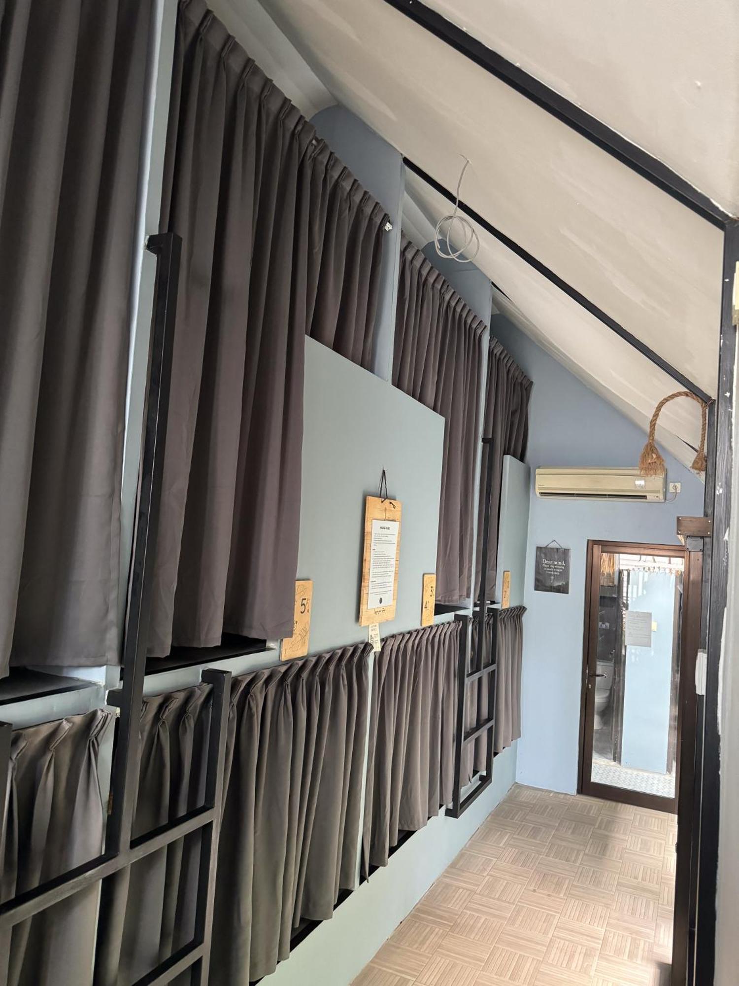 The Jungle Hostel