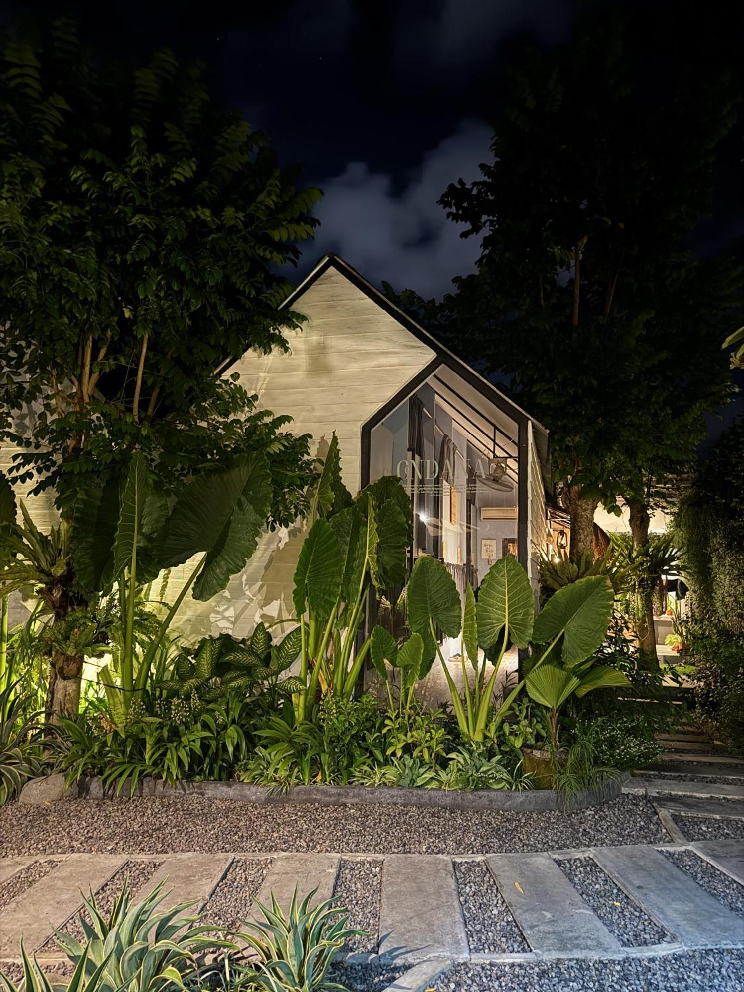 The Jungle Hostel *
