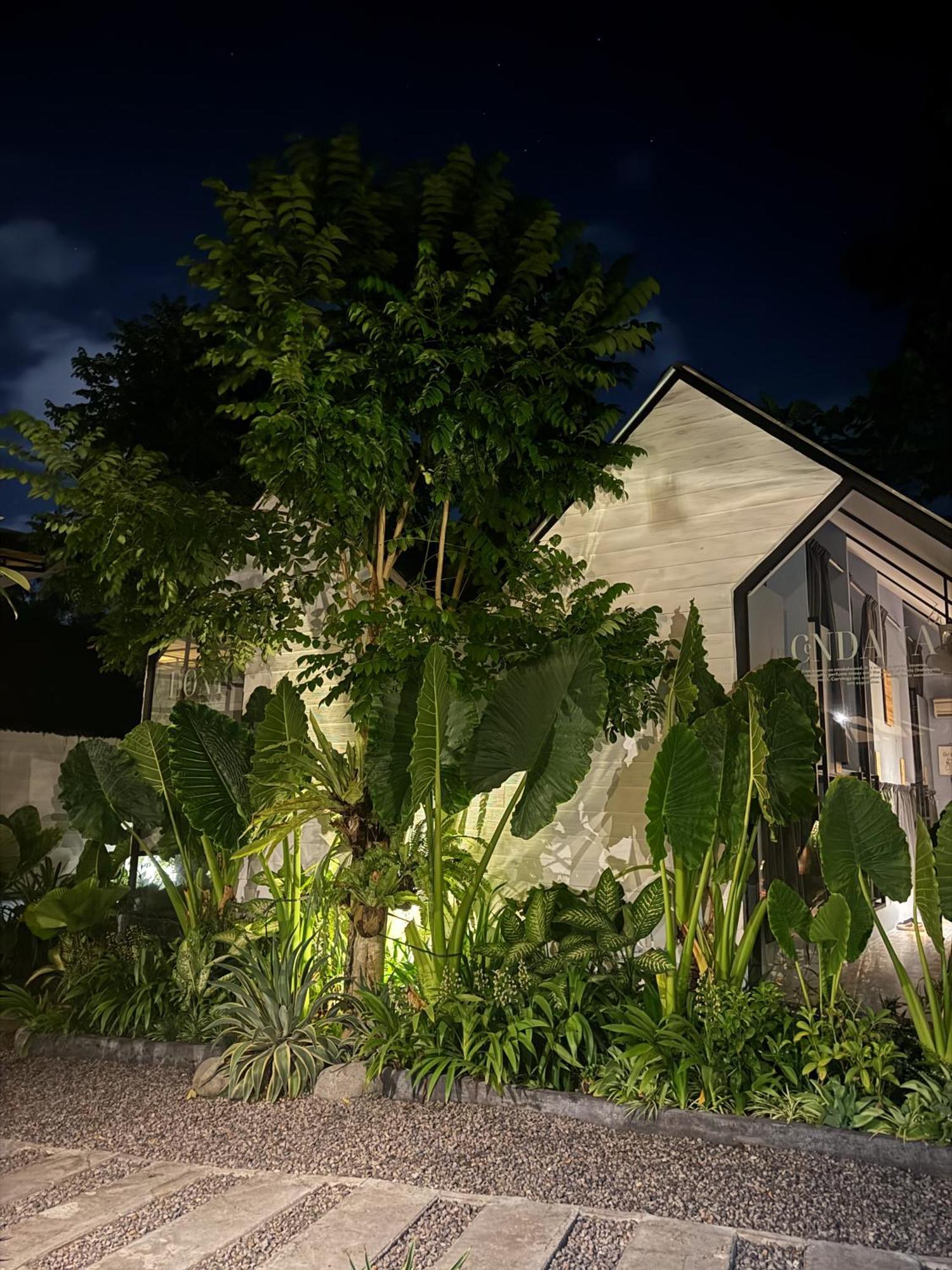 Hostel The Jungle Canggu
