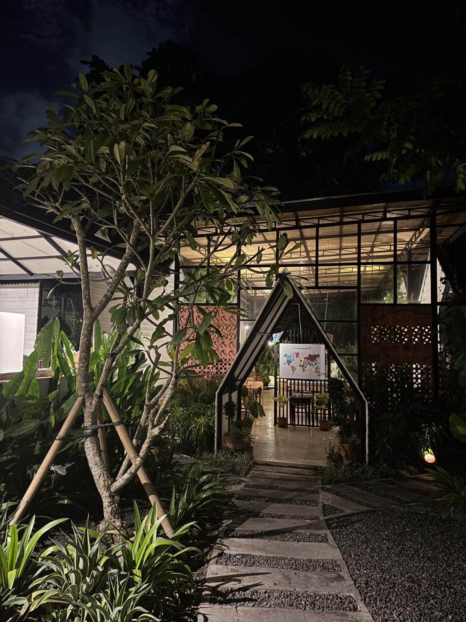 The Jungle