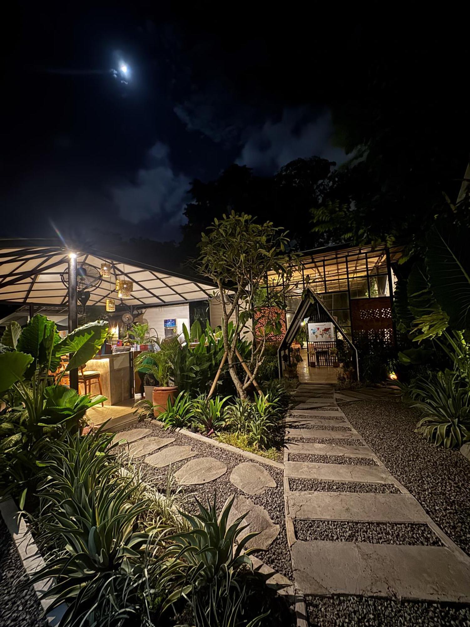 The Jungle Hostel