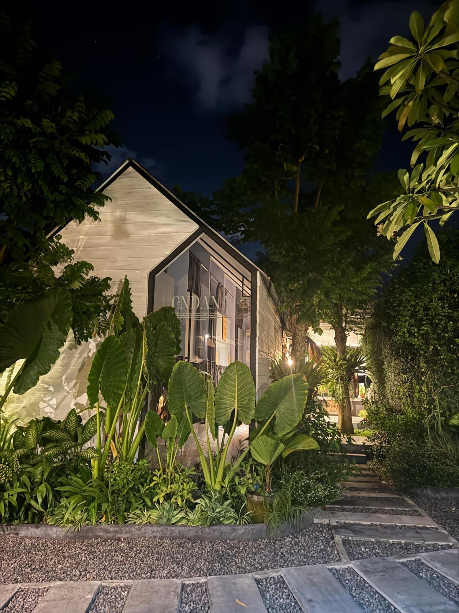 Hostel The Jungle