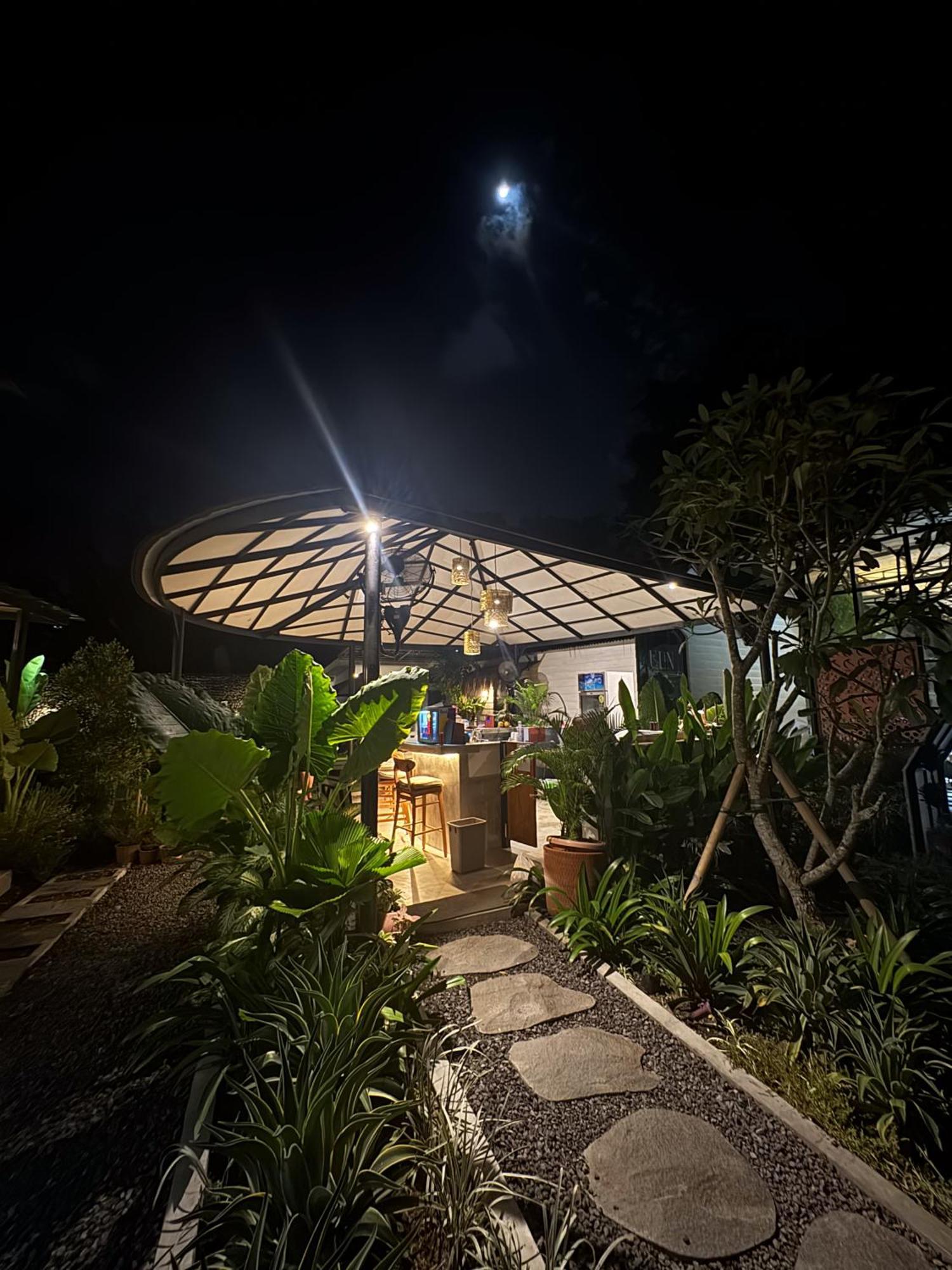 The Jungle Hostel *