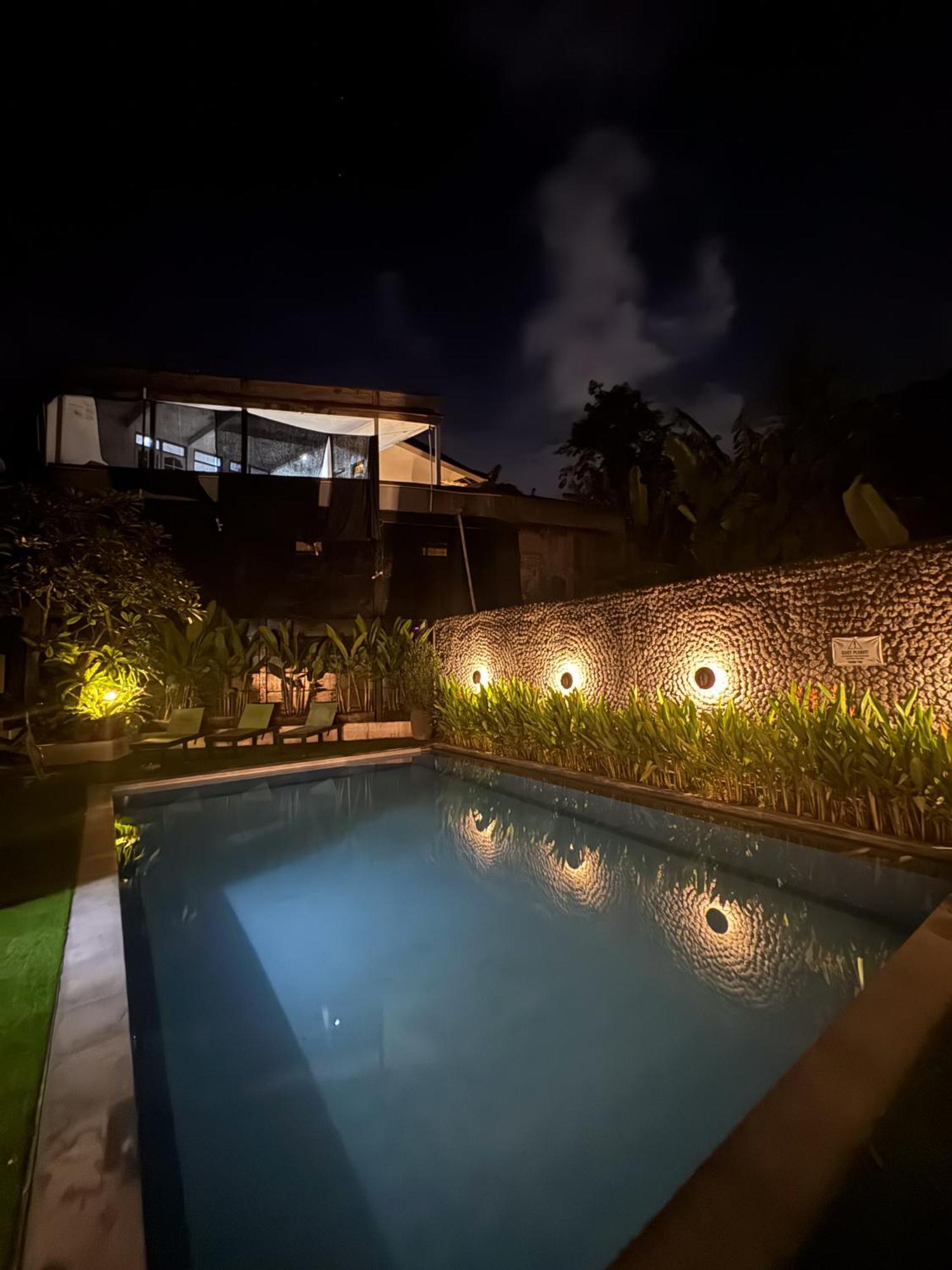 Hostel The Jungle *