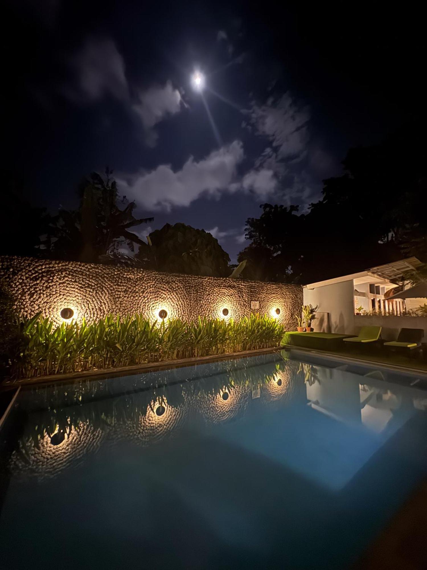 Hostel The Jungle Canggu (Bali)