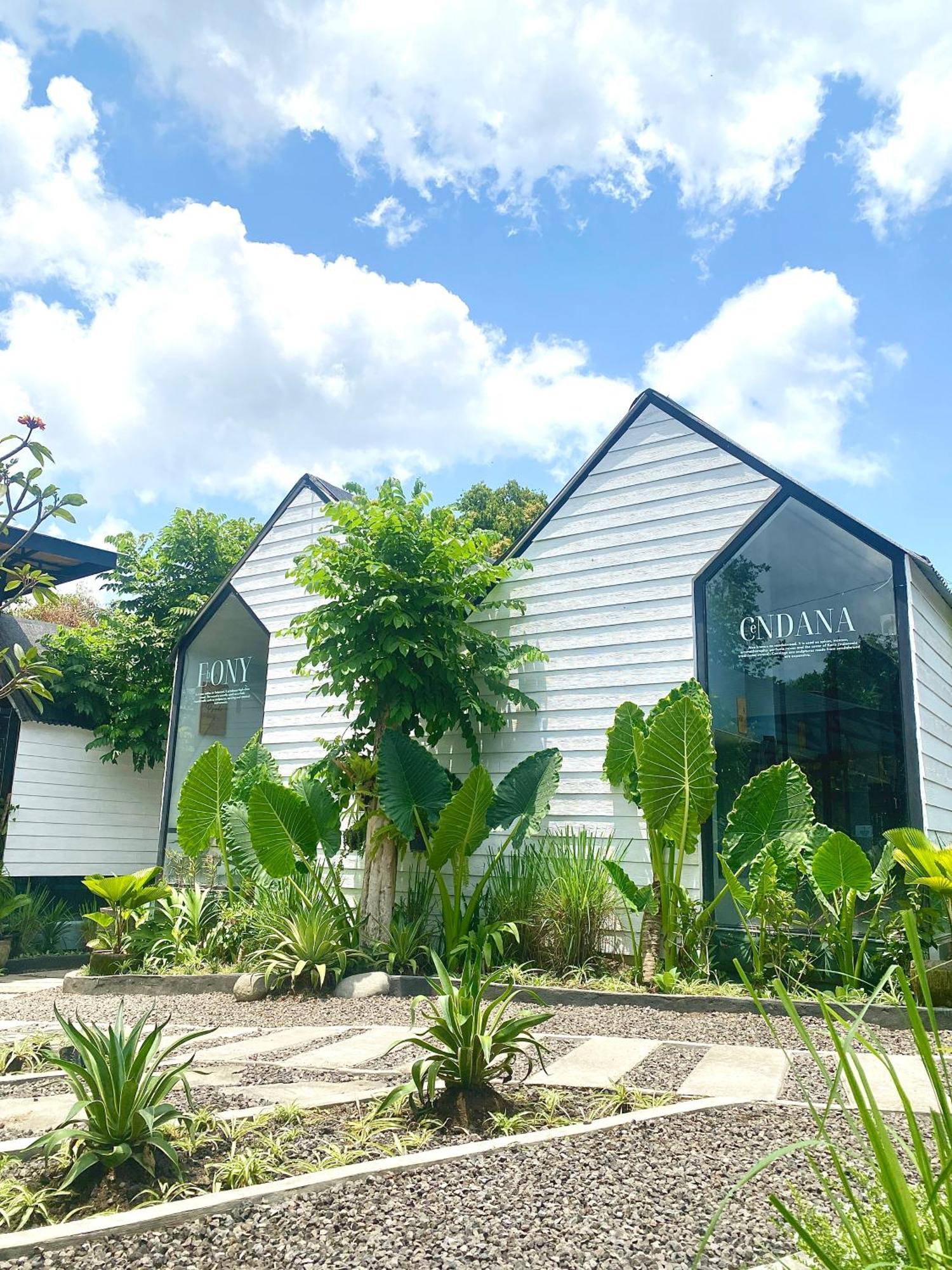 The Jungle * Canggu (Bali)