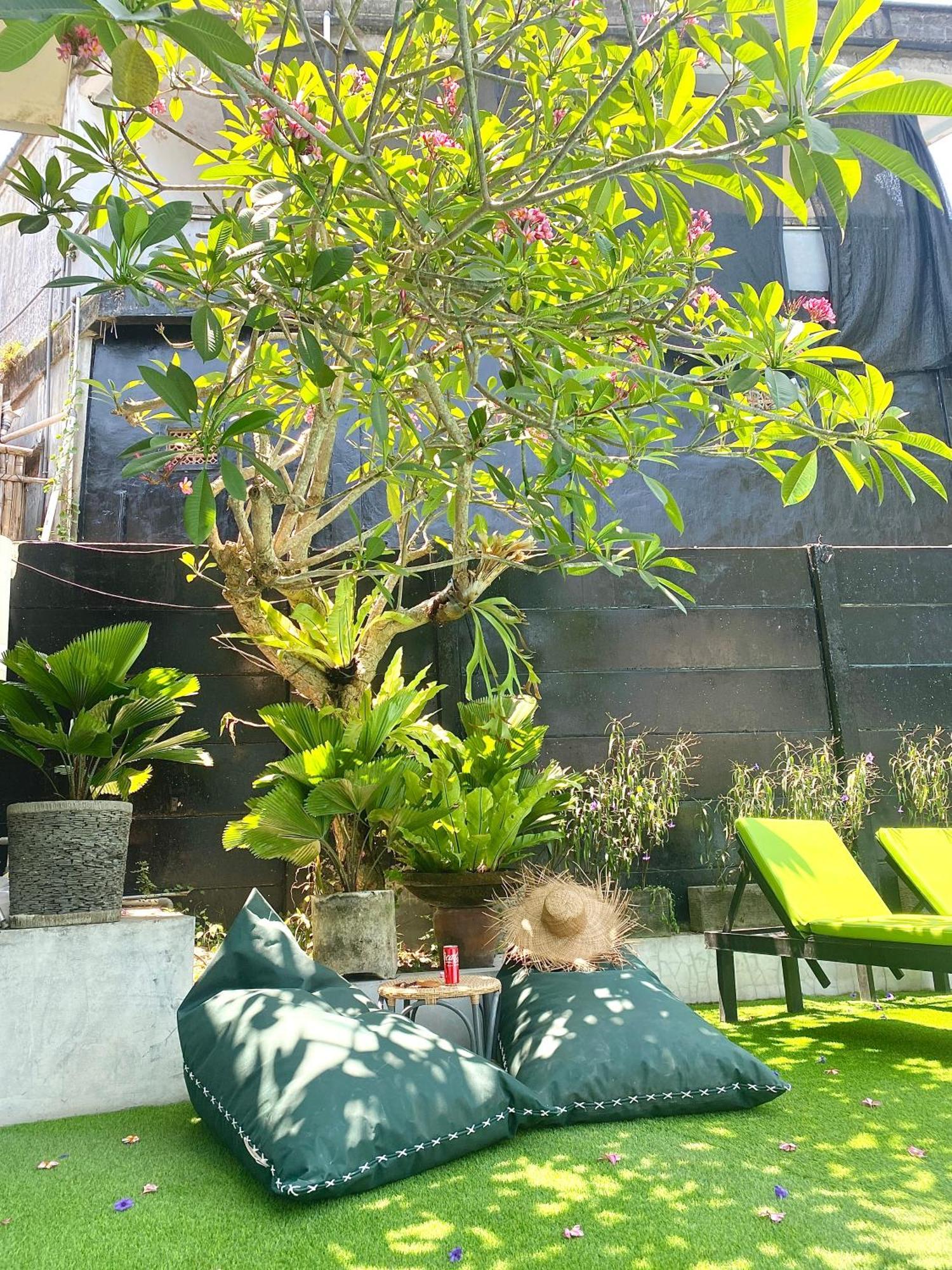The Jungle * Canggu (Bali)